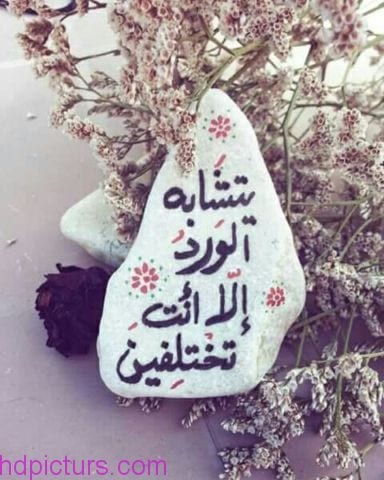 غزل ودلع النساء , اجمل ماقيل في النساء من غزل