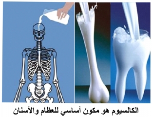 فيتامين د للحامل في الاشهر الاولى - و سلامة صحة الام والجنين