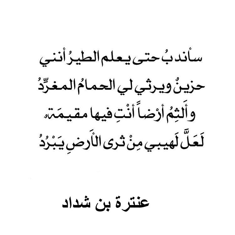 شعر عربي فصيح - شعر اللغه العربيه الفصحه 1023 1