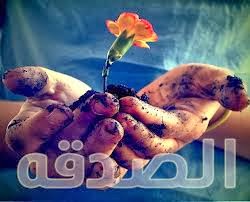 صور عن الصدقه - صور عن الصدقات 5454 2