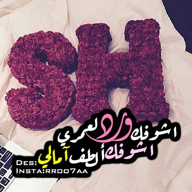 صور حرف Sh - جمال Sh بالصور ولا اروع 2335 5