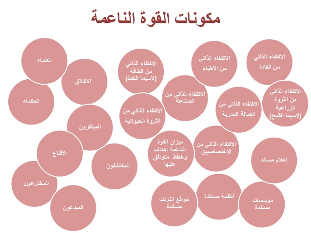 القوه الناعمة - التأثير علي الاخرين 3855 2