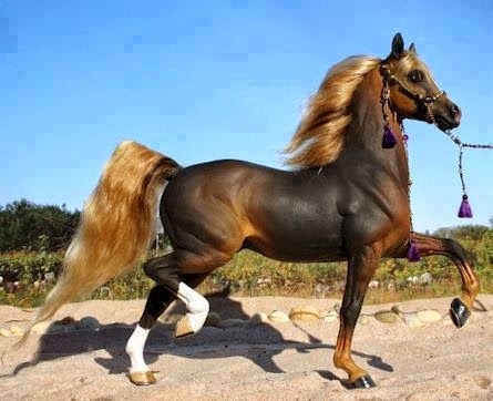 خيل اصيل - اجمل الصور لخيل الاصيل 5653 1