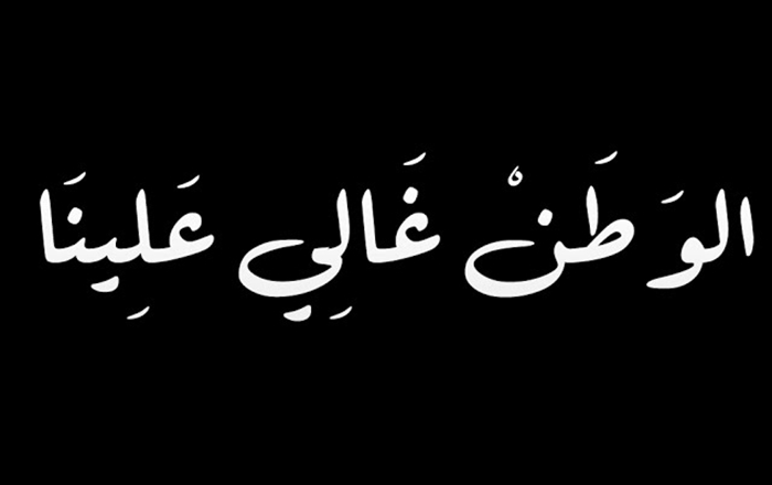 بحث عن حب الوطن - الوطن يجري كالدم في العروق 5199 3