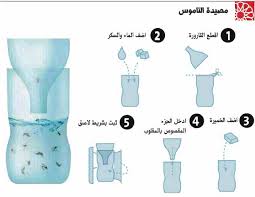 القضاء على الناموس , كيف تقضي على الناموس