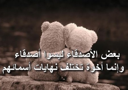 شعر عن الصداقه - اجمل شعر قيل في الصداقه 4093 1