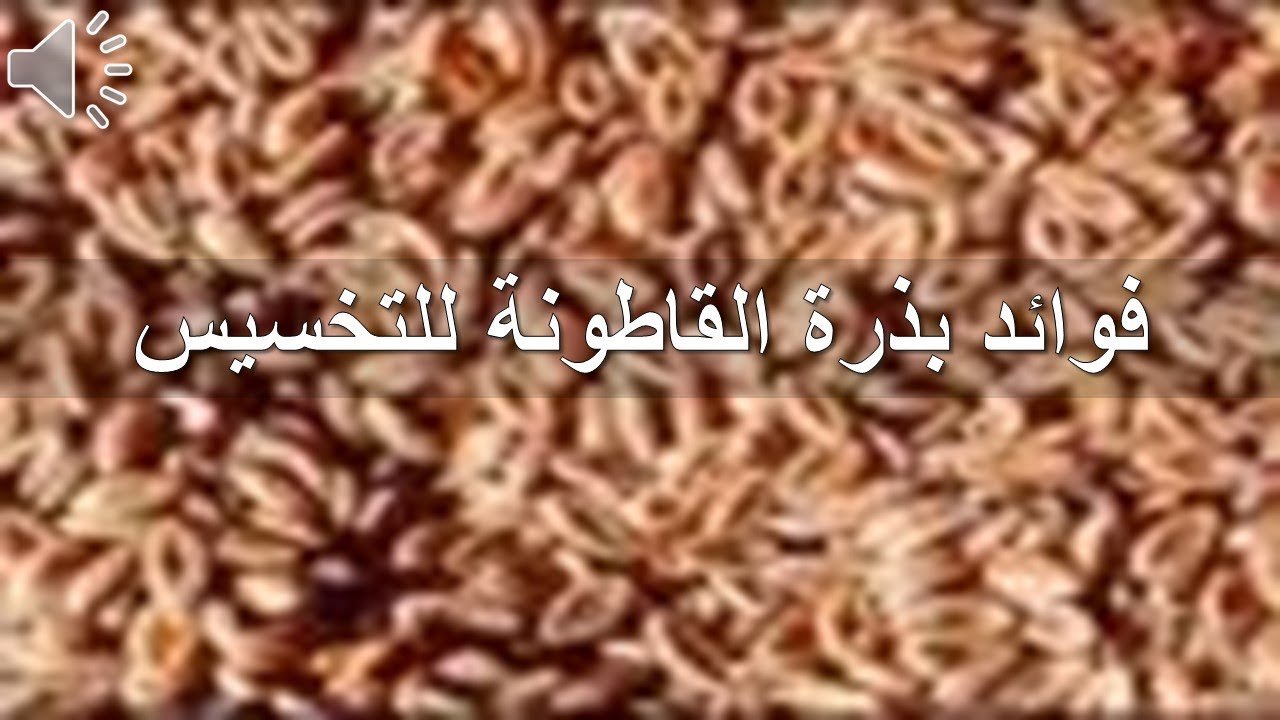 ما هي بذور القاطونة - ما هى بذور القاطونه