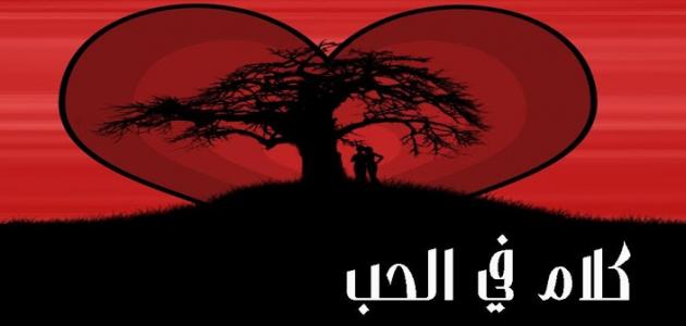 اجمل كلام على الحب - ارقي ما يقال عن الحب 11292 3