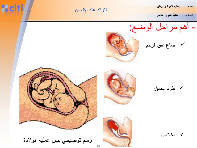 الولادة الطبيعية بالصور لحظة بلحظة - شاهد اهم خطوات الولاده الطبيعية 4247 7