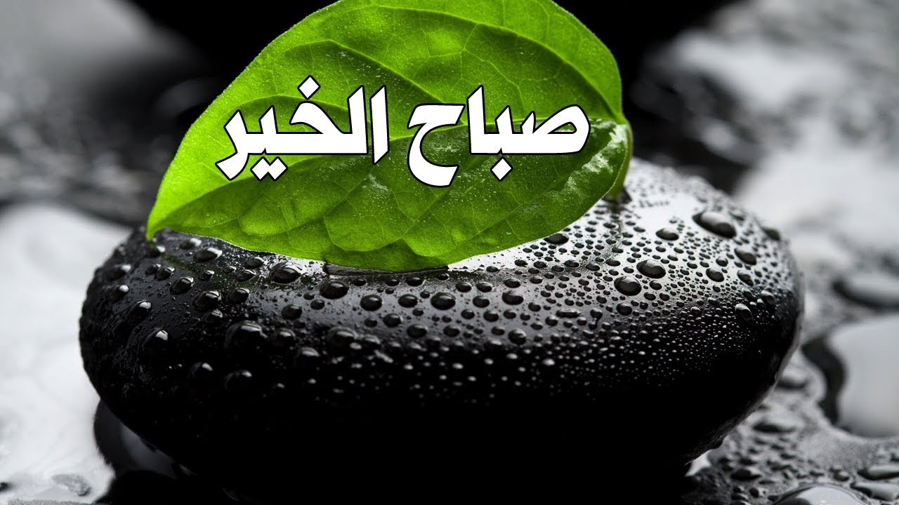 مسجات مساء الخير - اجمل الرسايل الرائعة للاحباب 2788 9