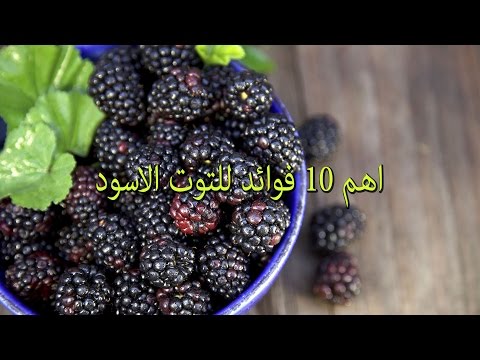 فوائد التوت , اهمية التوت