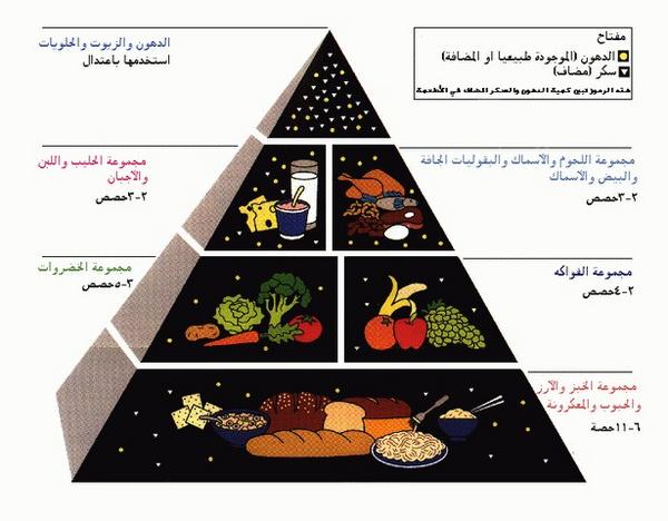 الاكل الصحي للمراة الحامل - تغذية الحامل بالاكل الصحى 4948 3