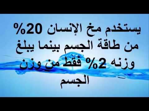 معلومات علمية - حقائق علمية مؤكده 2668 11