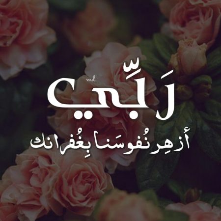 اجمل الصور للواتس - الواتس وصور خلفياته 1471 1