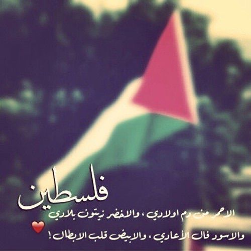 شعر عن فلسطين - قصائد عن فلسطين 2035 12