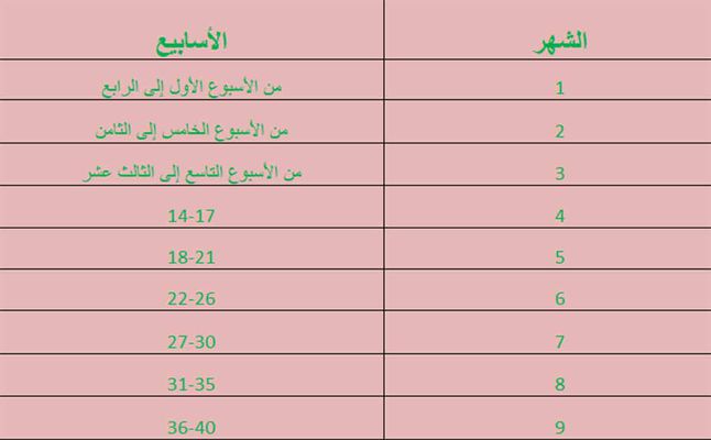 حساب الحمل بالاسابيع - تعلم طريقة حساب الحمل 3967