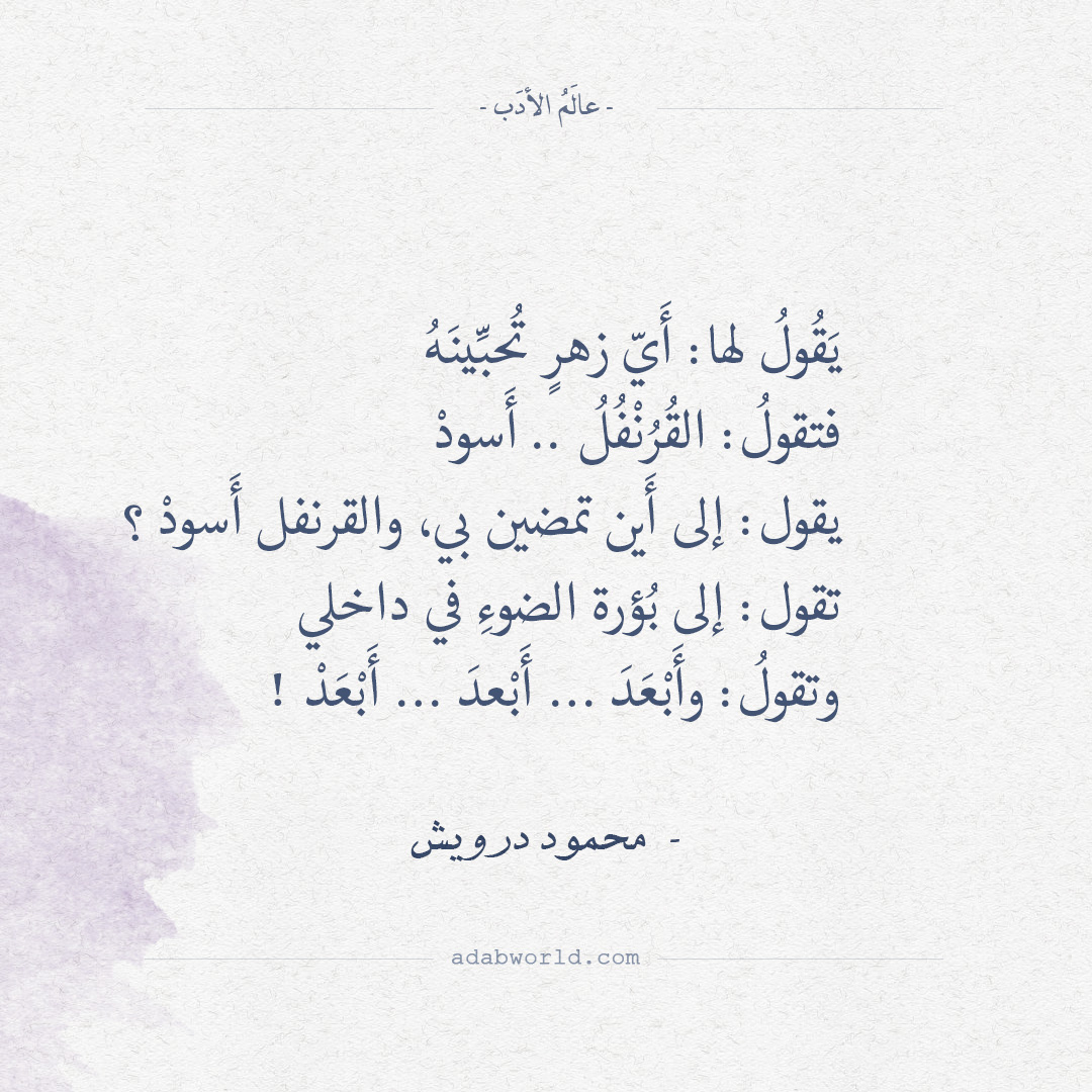 شعر محمود درويش 2435 3