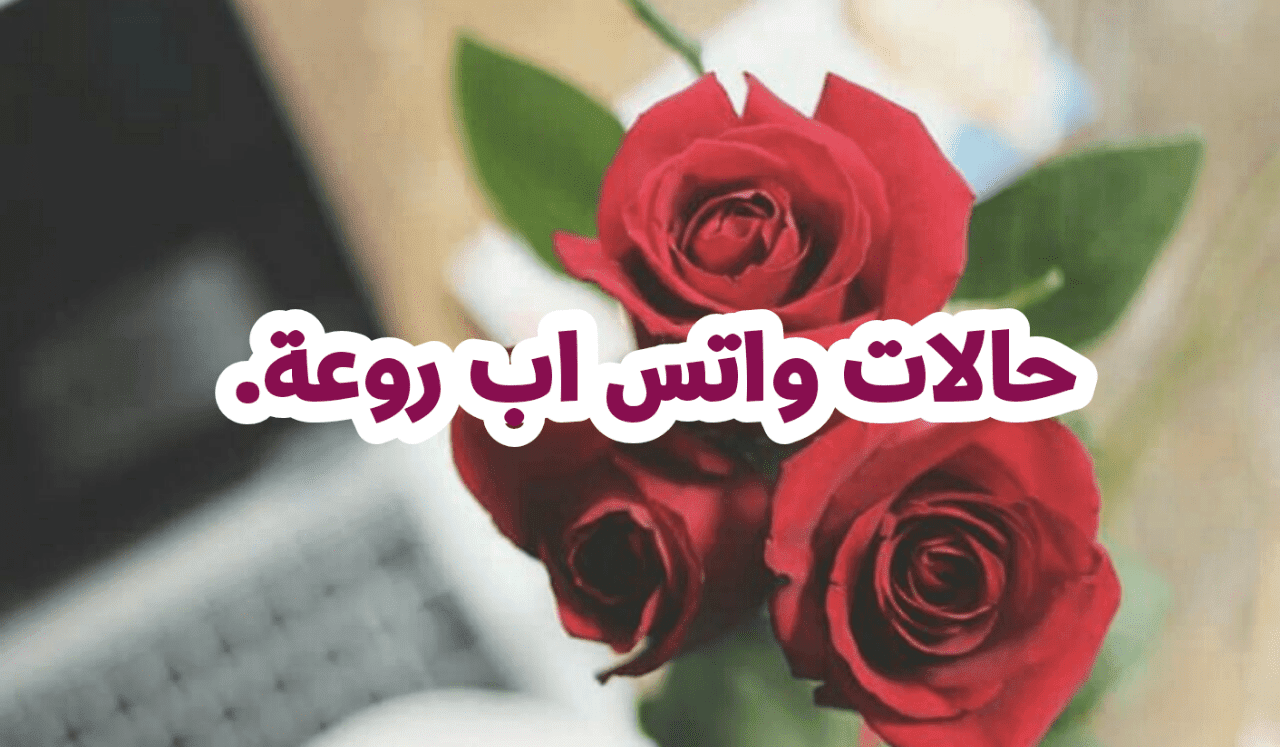 حالات واتس اب حلوه- ستورى واتس اب معبرة 3424 2