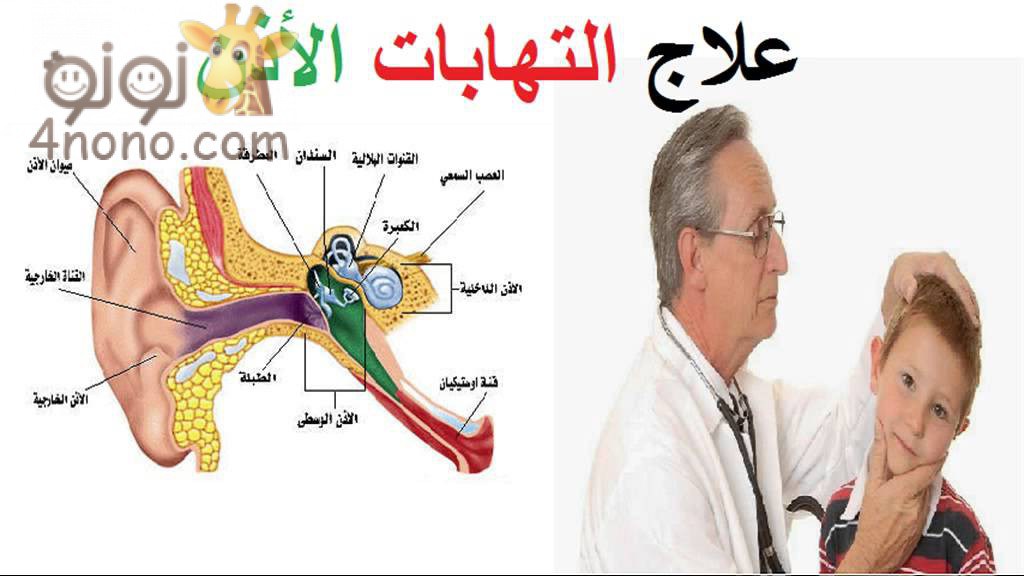 علاج التهاب الاذن , وصفات لعلاج التهاب الاذن