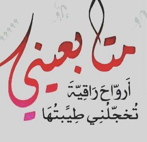 ابيات شعر مدح - اجمل الاشعار فى مدح من نحب 1347 10