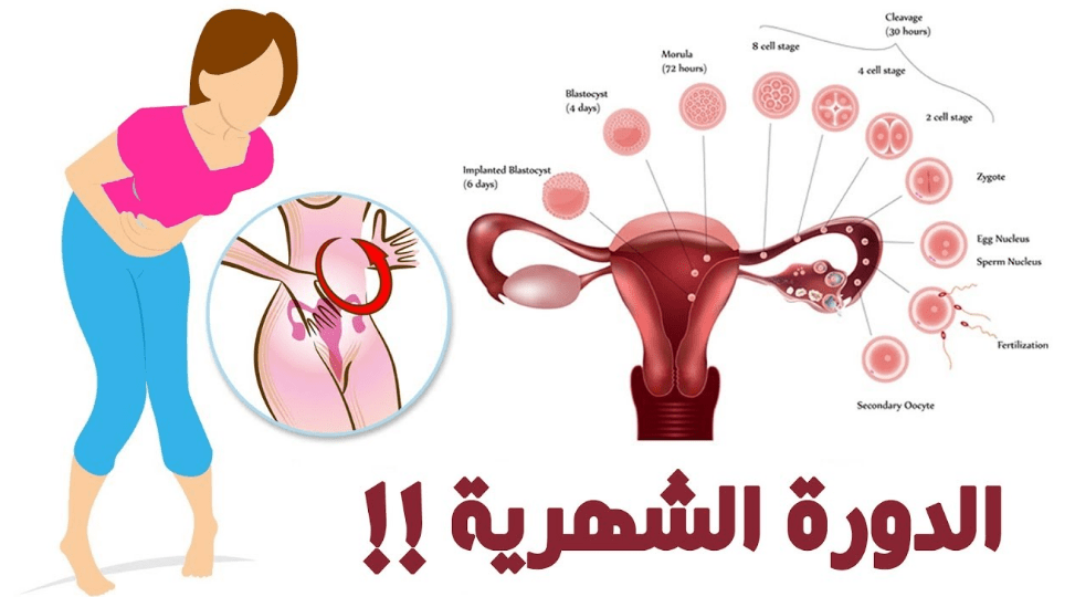 اسباب تاخر الدورة الشهرية- اضطرابات الدورة الشهرية وعلاجها 2939