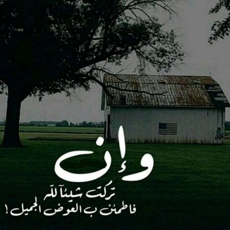 حكم وصور معبرة , اجمل الصور المعبرة المكتوب عليها حكم