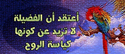 زهور الكلمات - كلمات جميله عن الفضائل 4101 2