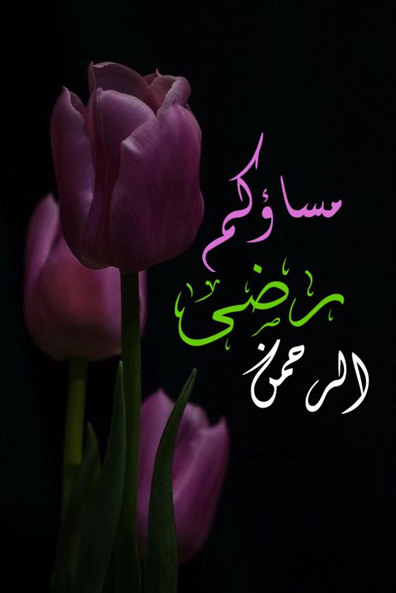 احلى مساء - صور اروع مساء لكل شخص 6568 5