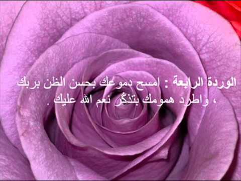 حكم عن الورد - صور حكم عن الورد 5582 2