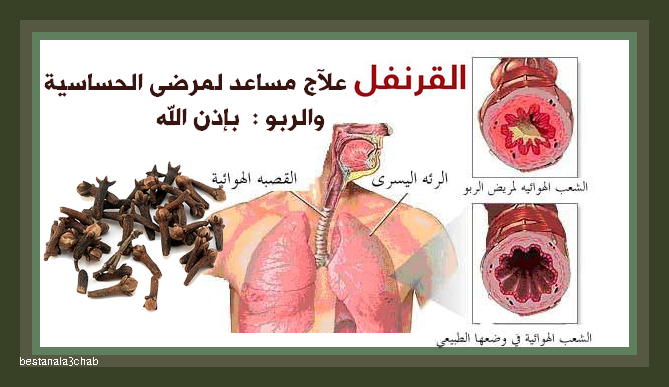 افضل علاج لحساسيه الصدر - هذا المشروب سيجعلك تتخلص من حساسية الصدر 11416