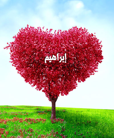 صورة اسم ابراهيم - اجمل الصور لاسم ابراهيم 11677 4