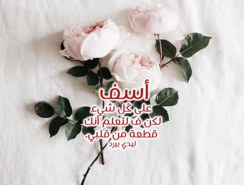 رسالة اعتذار لصديق - شعور الاسى للاسائه للاصدقاء 1446 1