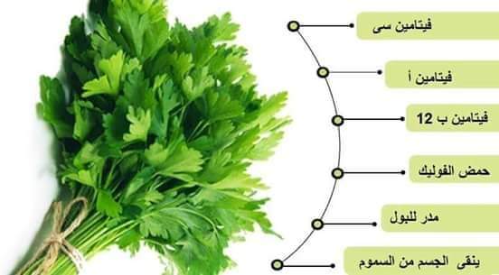 فوائد البقدونس , نتائج مذهلة من عشبة البقدونس