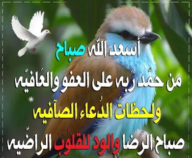 صور دعاء الصباح - اجمل الادعيه الدينية 1527 10