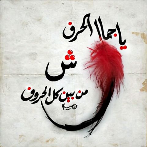 صور حرف Sh - جمال Sh بالصور ولا اروع 2335 8