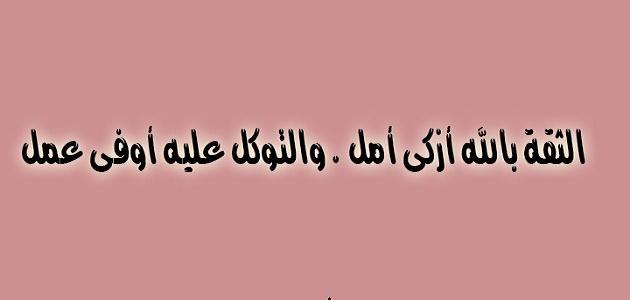 عبارات جميلة تويتر - صور عبارت جميله لتويتر 3965 7