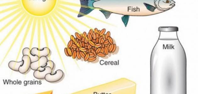 اين يوجد فيتامين د - فيتامين د واهميته 521 3