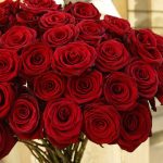 5456 7 كلمات عن الورد - كلمات عن الورود رائعه حبيبه وجدي