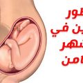 6738 3 الشهر الثامن من الحمل - اهم تطويرات الجنين و نصائح في الشهر 8 فاتن سعود