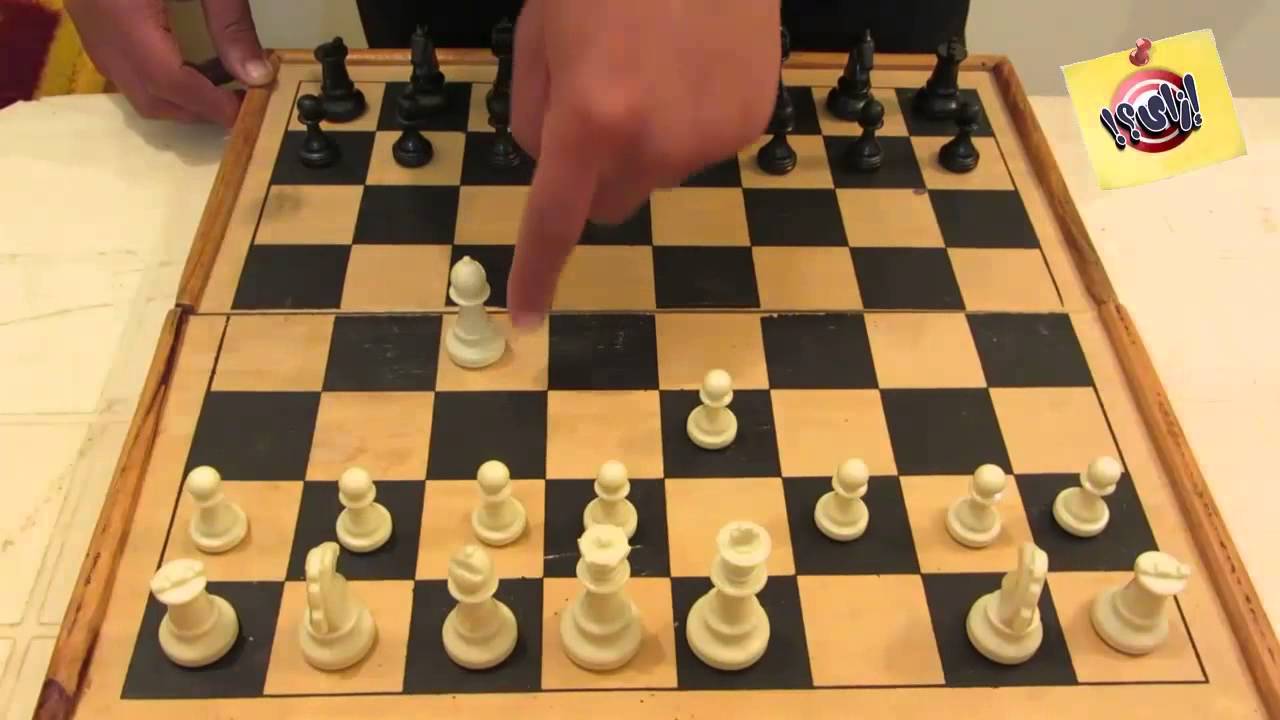 472 3 كيف تلعب الشطرنج - تعرف طريقه لعبه العظماء طربه ملحان