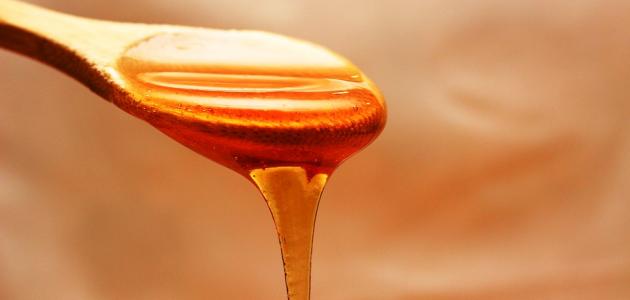 11456 1 فوائد العسل للحمل - للعسل فائدة عظيمة اثناء فترة الحمل منى محمد
