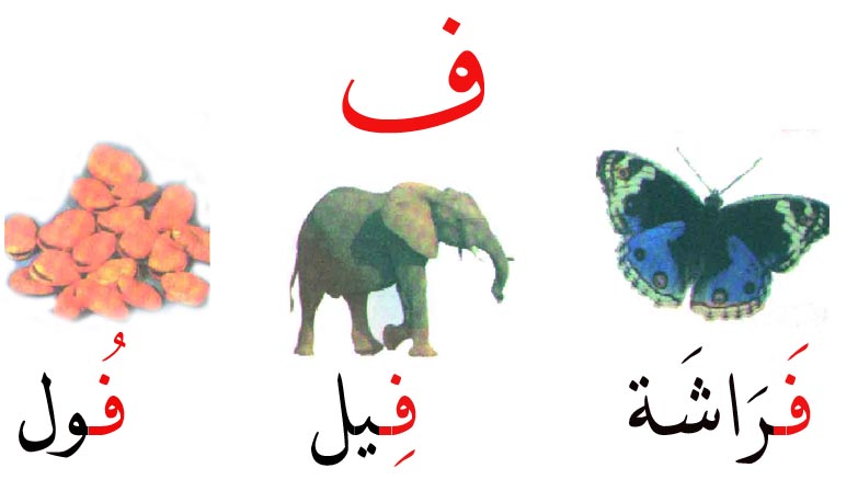 صور حرف ف , حروف من اللغه العربيه المنام