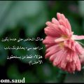 946 11 الله علي جمال الورد - عبارات عن الورد عايشه ساري