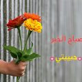 3913 7 صباح الخير حبيبتي- عبارات صباحية للحبيبة حنان العمر