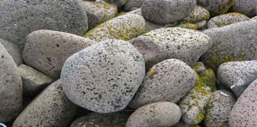 2970 5 انواع الصخور- اجمل انواع الصخور زهرة